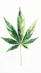 Artistic representation of cannabis leaf in vibrant green watercolor, showcasing intricate details and natural beauty. This illustration captures essence of plant beautifully