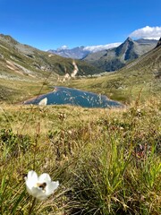 Wanderung Sportgastein - Rauris - Bockhartscharte