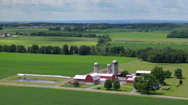 Rural agricultural farm barn and silos between green farmlands in Midwestern USA. American farming landscape