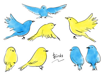 A set of colorful and cute hand-drawn illustrations of small birds. Heartwarming little birds.　カラフルでかわいい手書きの小鳥イラストセット