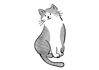 話を聞く猫の手書きイラスト　サバトラ　白ねこ　　ネコ　手描き　白背景　ラフ　ざっくり　スケッチ　マンガ　絵本　かわいい　ほっこり　ほのぼの