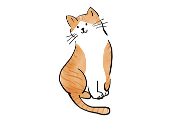 話を聞く猫の手書きイラスト　茶トラ　白ねこ　　ネコ　手描き　白背景　ラフ　ざっくり　スケッチ　マンガ　絵本　かわいい　ほっこり　ほのぼの