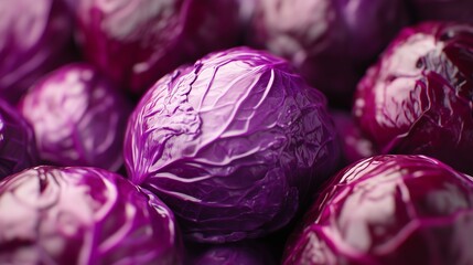 Obraz premium Purple cabbage vegetable pattern for organic agriculture natural concept