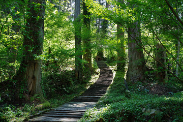 出羽三山神社