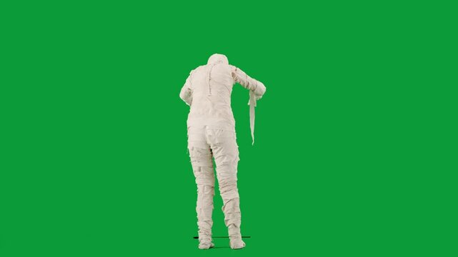 Portrait of person in a mummy bandage on chroma key green screen background. Mummy covered in white cloth ribbons walking with hands up. Back view