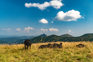Hiking in the Mala Fatra Mountains, Slovakia.