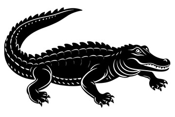 Isolated on a white background, a wild reptile animal, the Tyrannosaurus Rex dinosaur, resembles a large crocodile