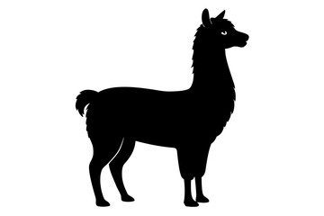 Black vector silhouettes illustrate a wild deer and giraffe, graceful mammals from nature