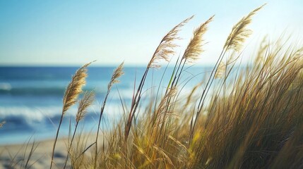 beach grass swaying in the wind along a peaceful coast with sandy dunes and blue sky summer nature and wind motion in a serene coastal environment