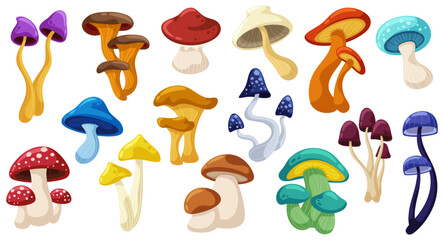 Set of edible and inedible wild mushrooms. Autumn forest raw ingredients. Cartoon illustrations.