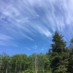 Clouds streak across the blue sky