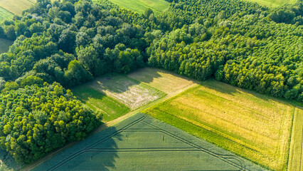 Aerial drone view of a summer landscape with green fields and dense forests, showcasing the...