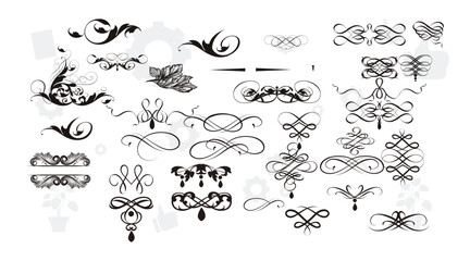 Wedding floral graphic elements set, dividers, laurel. Decorative invitation design. Vector illustration