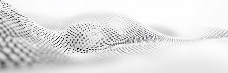 Abstract White and Black Digital Wave