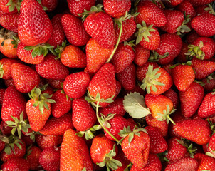 Fresh strawberries, top view beautiful image of red fresh strawberries from above filling the frame. Organic berries background texture concept idea photo. Healthy diet vegetarian fruit.