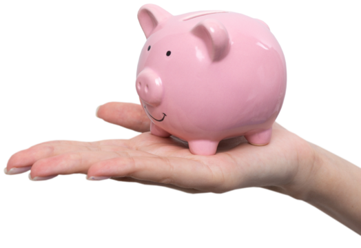 3d pink piggy bank in the beautiful hands of a girl..Close-up photo on a white background.
