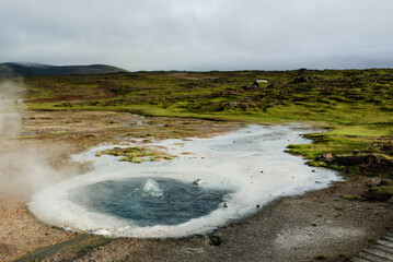 Geothermal Hot Springs in Lush Green Icelandic Landscape with Rising Steam