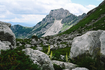 Panoramic Mountain Range and Views - Alpine style Alps in Durmitor, Montenegro - Wide Landscape Shot of epic Mountains and Roads