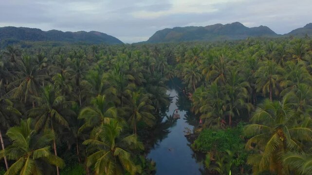Aerial view of a serene river surrounded by lush tropical forest and palm trees at sunrise, Maasin, Philippines.