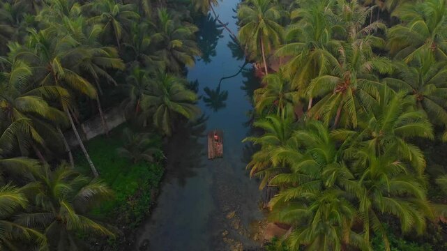 Aerial view of a serene river surrounded by lush palm trees and a tranquil forest at sunrise, Maasin, Philippines.