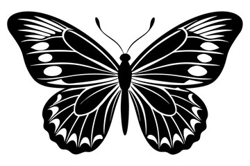  butterfly silhouettes collection, vector illustration isolated on a white background