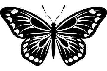  butterfly silhouettes collection, vector illustration isolated on a white background