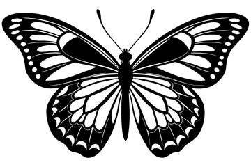  butterfly silhouettes collection, vector illustration isolated on a white background