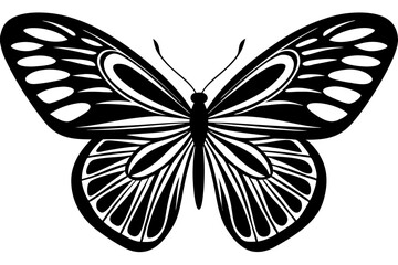  butterfly silhouettes collection, vector illustration isolated on a white background