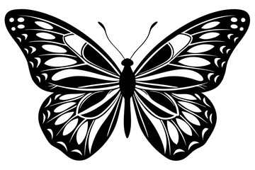  butterfly silhouettes collection, vector illustration isolated on a white background