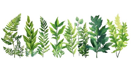 Green Lush Foliage Illustration