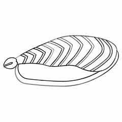 Sushi and rolls, Asian food. decoration.