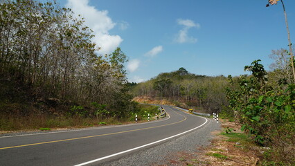 Fototapeta premium highway in teak forest