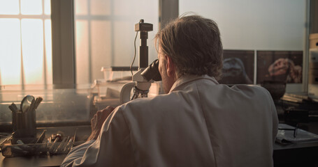 Mature chemist or microbiologist analyzes fossil sample under microscope. Scientist or archaeologist works with professional equipment in advanced archaeological science laboratory. Sunset light.