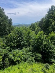 Hi , Im an aspiring photographer ! Here are some of the photos i took 