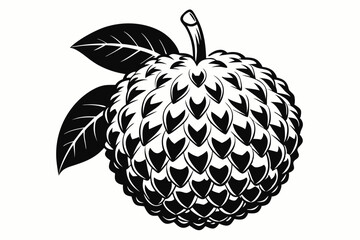 lychee silhouette vector illustration