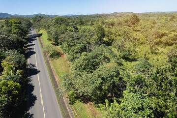 Asphalt road in green park