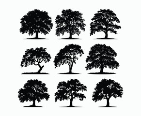 Fototapeta premium Oak tree silhouette EPS vector file illustration template