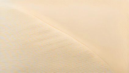 High-resolution image of a single, broad brushstroke of color paint on a white background,The brushstroke is curved
