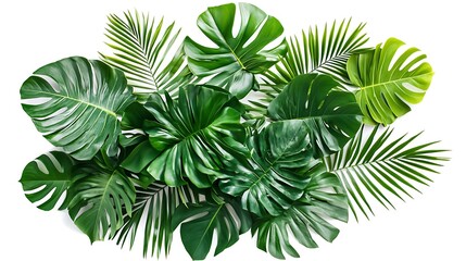 Tropical Leaves Arrangement