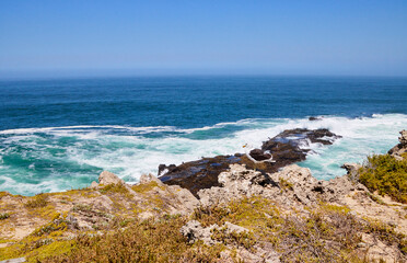 Eine Reise durch Südafrika. Robberg Nature Reserve in der Nähe von Plettenberg.