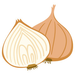 onion illustration for card website, application, printing, document, poster design, etc.