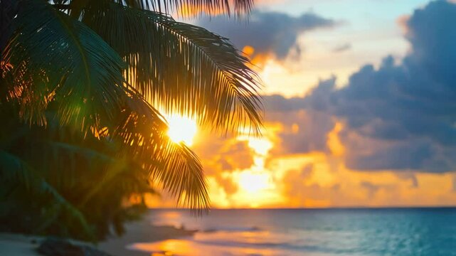 peaceful sunset tropical beach, sunlit silhouette palm tree 