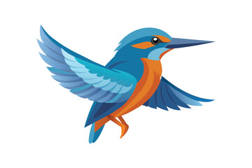 Kingfisher bird vector art illustration 