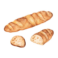 Baguette freshly baked illustration png sticker