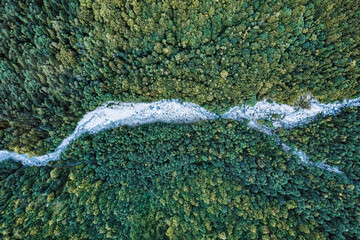 Evergreen tropical rainforest with river flowing through in national park
