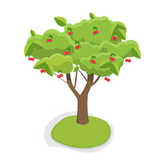 3D Isometric Flat Vector Set of Fruit Tree, Garden Plants Cultivation. Item 2