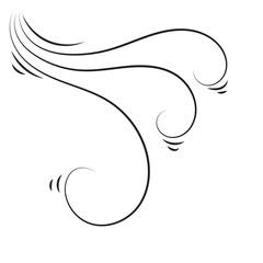 Wind vector icon