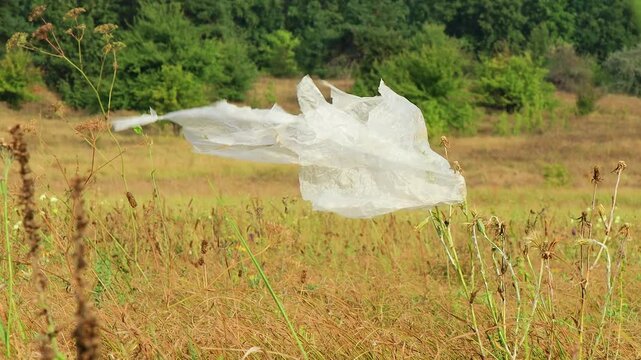 A plastic bag flutters in the wind in a meadow. Plastic pollution (Polyethylene)