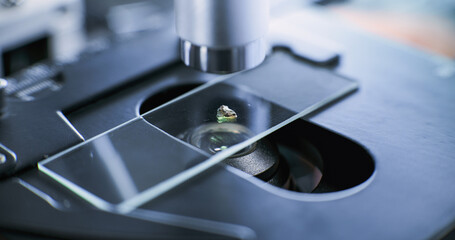 Close up shot of microbiologist analyzing fossil specimen on glass slide under microscope. Scientist or archaeologist works with professional equipment in advanced archaeological science laboratory.