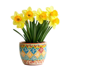 A vibrant pot of yellow daffodils adds a cheerful touch to any space.